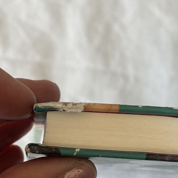 School of Secrets: CJ's Treasure Chase (Disney Descendants) Reading Book Fiction - Picture 9 of 14